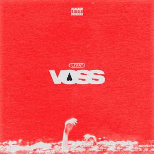 Livai的专辑Voss (Explicit)