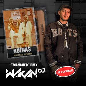 Wakan DJ的專輯Mañaneo (Wakan Dj Remix)