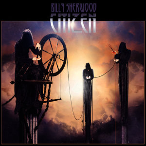 ดาวน์โหลดและฟังเพลง A Theory All It's Own พร้อมเนื้อเพลงจาก Billy Sherwood