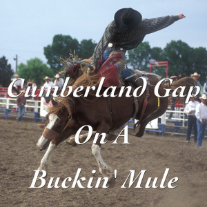 Album Cumberland Gap On A Buckin' Mule from Various
