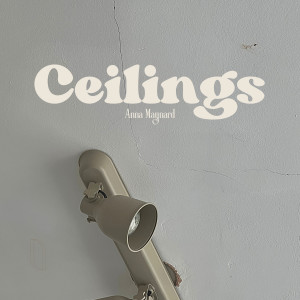Album Ceilings from Anna Maynard