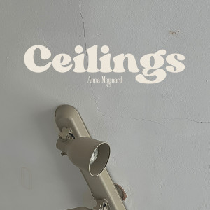 Album Ceilings from 