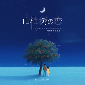 收听Mr.COLE的山楂树之恋 (陕西话合唱版)歌词歌曲