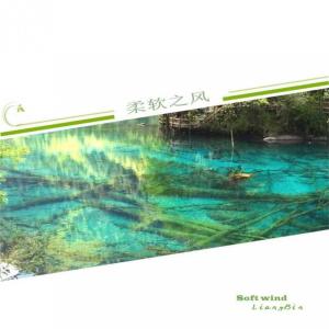 ดาวน์โหลดและฟังเพลง 湖畔的垂柳 พร้อมเนื้อเพลงจาก 梁有才