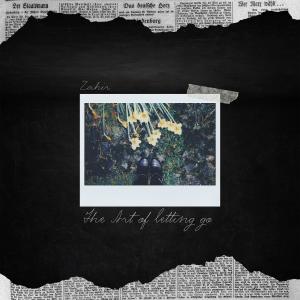 Album The Art Of Letting Go from Zahid Baharuddin