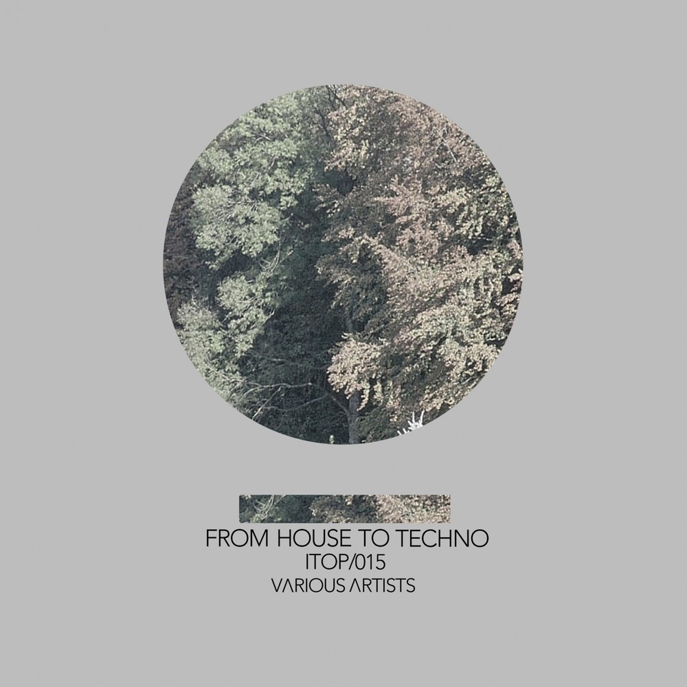 Party (Original Mix)