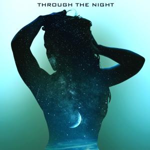 ดาวน์โหลดและฟังเพลง Through The Night (feat. Alus) (borr Remix) พร้อมเนื้อเพลงจาก Any B