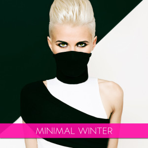 Album Minimal Winter from Various