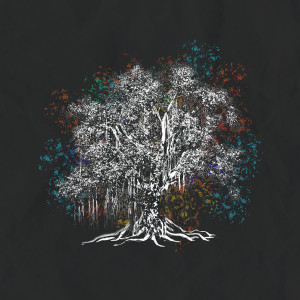 Listen to Tree song with lyrics from Drie