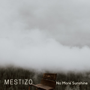收聽Mestizo的When It Rain It Pours歌詞歌曲