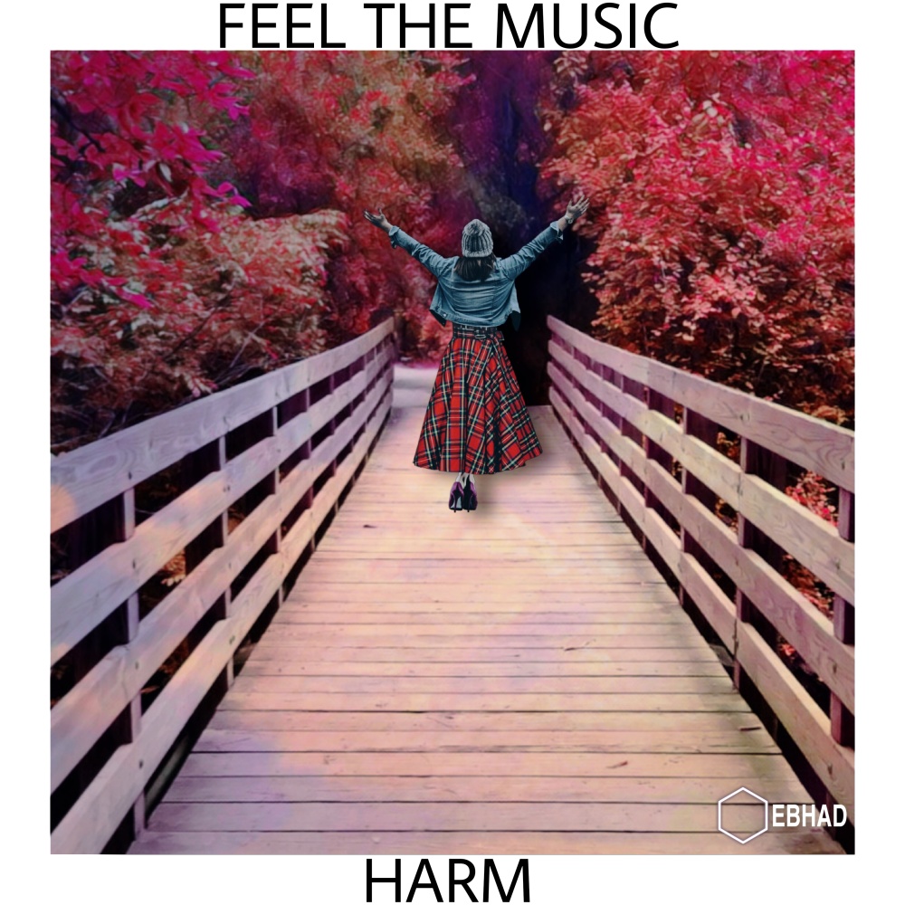 Feel the Music
