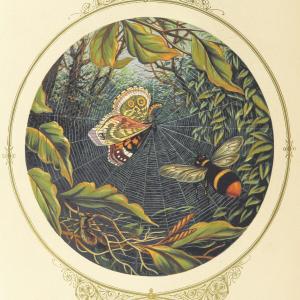 Listen to Had To Look (Explicit) song with lyrics from Professor Fox
