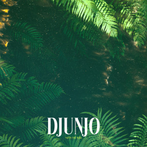 Album Nap in the Wild oleh Djunjo