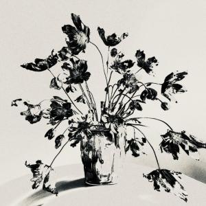 收聽Molo1k的Burn in the Break歌詞歌曲