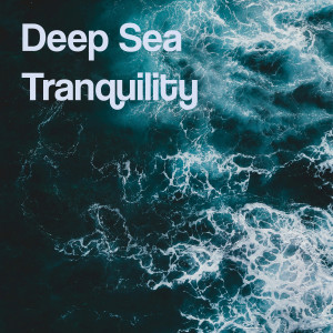 Catching Sleep的專輯Deep Sea Tranquility