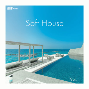 Album Soft House, Vol.1 from John K. Sands
