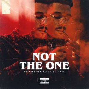 Listen to Not The One(with Freezer Beats) (Explicit) song with lyrics from AtariJones