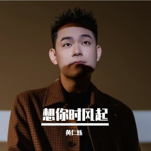 黄仁烁的专辑想你时风起
