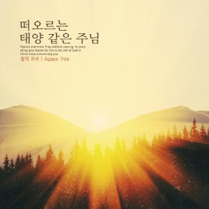 收听빛의 자녀的Lord like the rising sun歌词歌曲