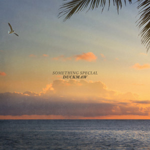 Duckmaw的專輯Something Special