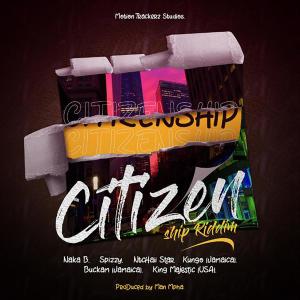 Various Artists的专辑Citizenship Riddim