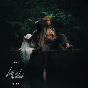 อัลบัม Lost In The Woods (feat. Lillian Wong) ศิลปิน J1M3