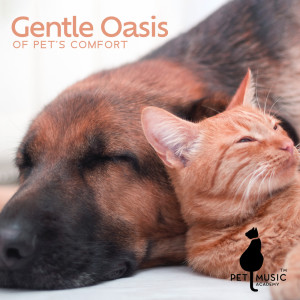 Album Gentle Oasis of Pet's Comfort from Pet Music Academy