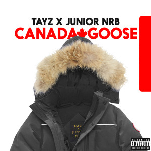 ดาวน์โหลดและฟังเพลง Canada Goose (Explicit) พร้อมเนื้อเพลงจาก Tayz