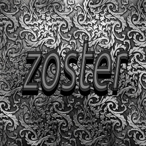Album Zoster oleh Drozd X
