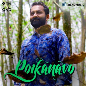 Album Poikanavu from 