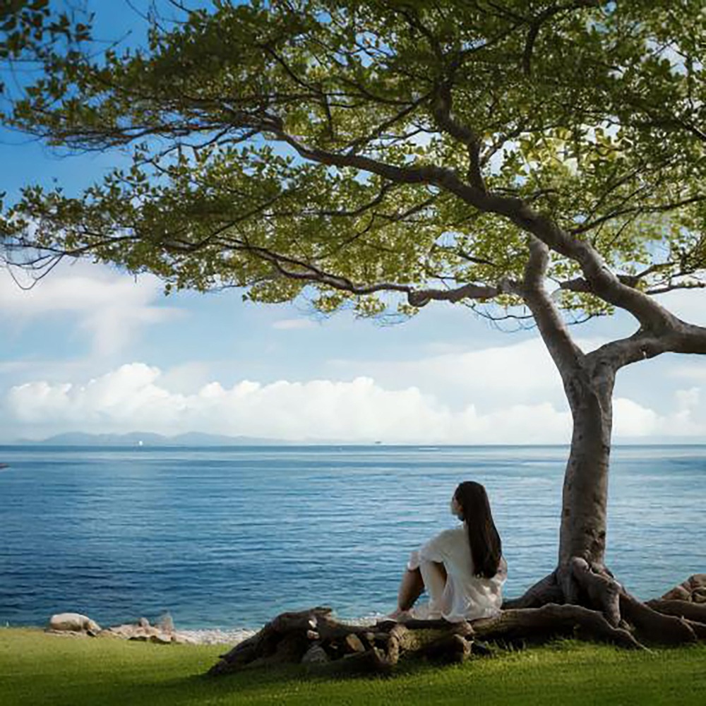 Complete Calmness Soothing Sounds