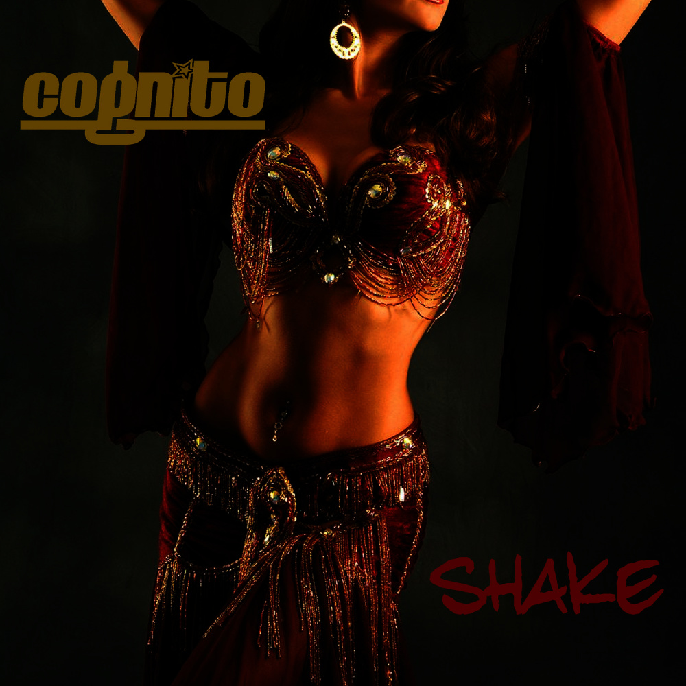 Shake (Explicit)