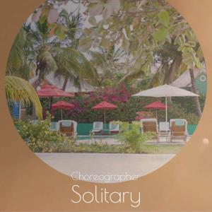 ดาวน์โหลดและฟังเพลง Choreographer Solitary พร้อมเนื้อเพลงจาก Siri Cand