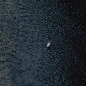 收聽Siryu的BLACK (feat. SILENT KILLA JOINT & TIMM)歌詞歌曲