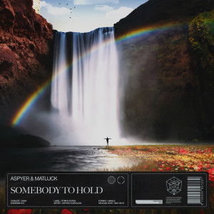 Listen to Somebody To Hold (Extended Mix) song with lyrics from Aspyer
