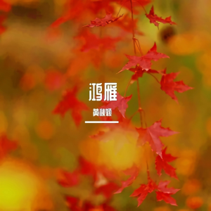 Album 鸿雁 from 黄秋颖