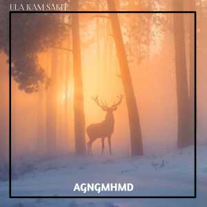 Dengarkan ULA KAM SAKIT (Remix) lagu dari AGNGMHMD dengan lirik