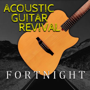 Album Fortnight from Acoustic Guitar Revival