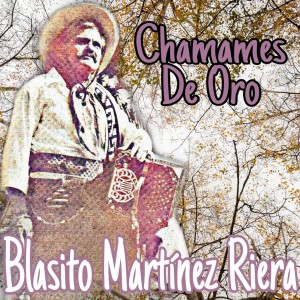 ดาวน์โหลดและฟังเพลง Desde El Alma พร้อมเนื้อเพลงจาก Blasito Martínez Riera