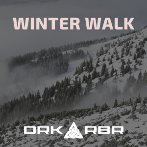 Listen to Winter Walk song with lyrics from DRK RBR