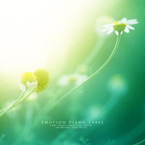 Album Study music collection for healing of the mind (healing piano) from Various Artists