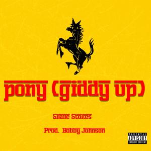收聽Shane Stokes的pony (giddy up) (Explicit)歌詞歌曲