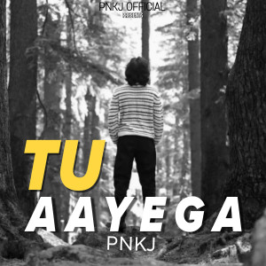 Album Tu Aayega oleh PNKJ