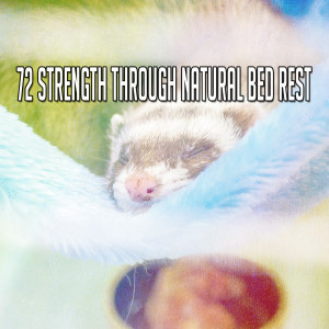 ดาวน์โหลดและฟังเพลง Lucious Lucid Dreams พร้อมเนื้อเพลงจาก Relaxing Music Therapy
