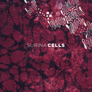 ดาวน์โหลดและฟังเพลง Cells พร้อมเนื้อเพลงจาก Surina
