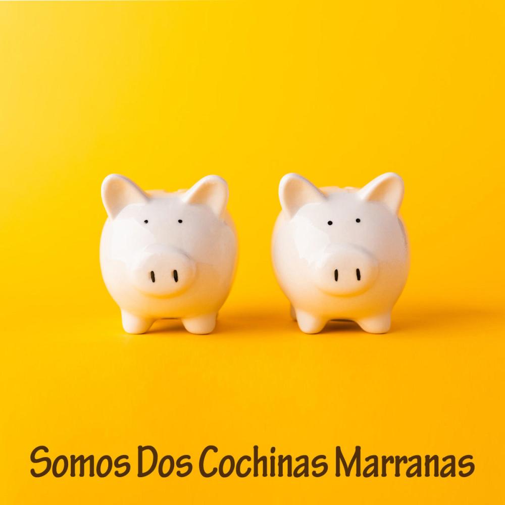 Somos Dos Cochinas Marranas