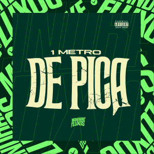 Dengarkan lagu 1 Metro de Pica (Explicit) nyanyian Mc Fabinho da Osk dengan lirik