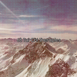Album 68 Tai Chi Therapies from Outside Broadcast Recordings
