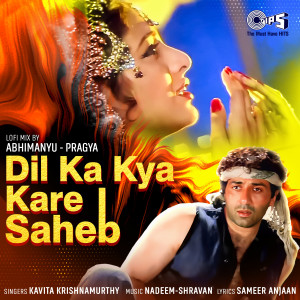 Kavita Krishnamurthy的專輯Dil Ka Kya Kare Saheb (Lofi Mix)
