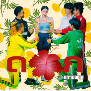 Listen to ดอก song with lyrics from วงสกายพาส